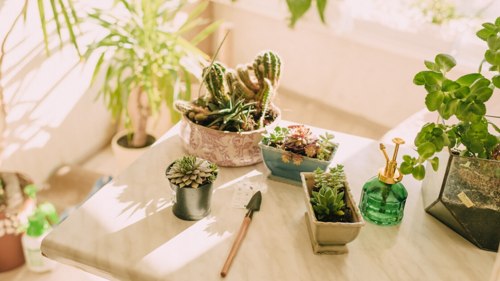 Indoor Plants Green Your Space