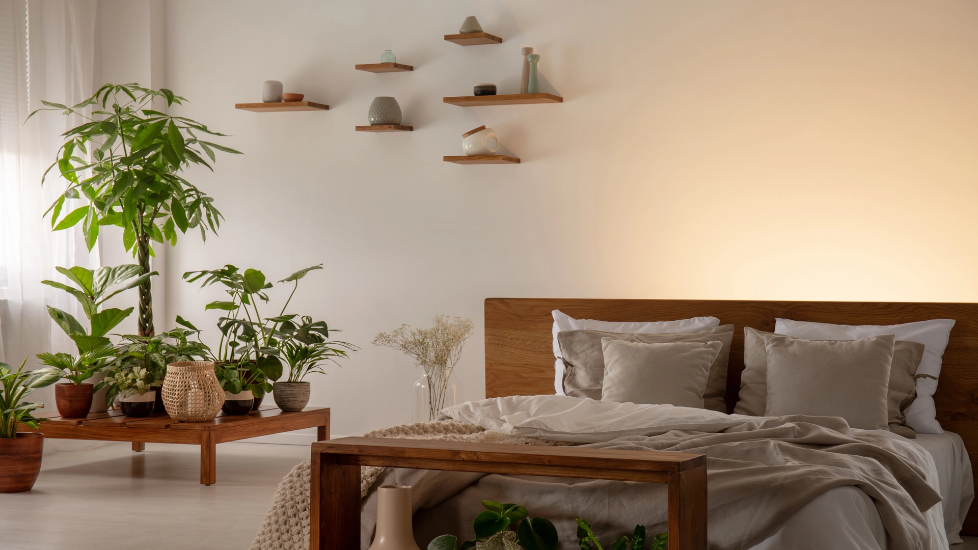 Decorate your Bedroom with Plants