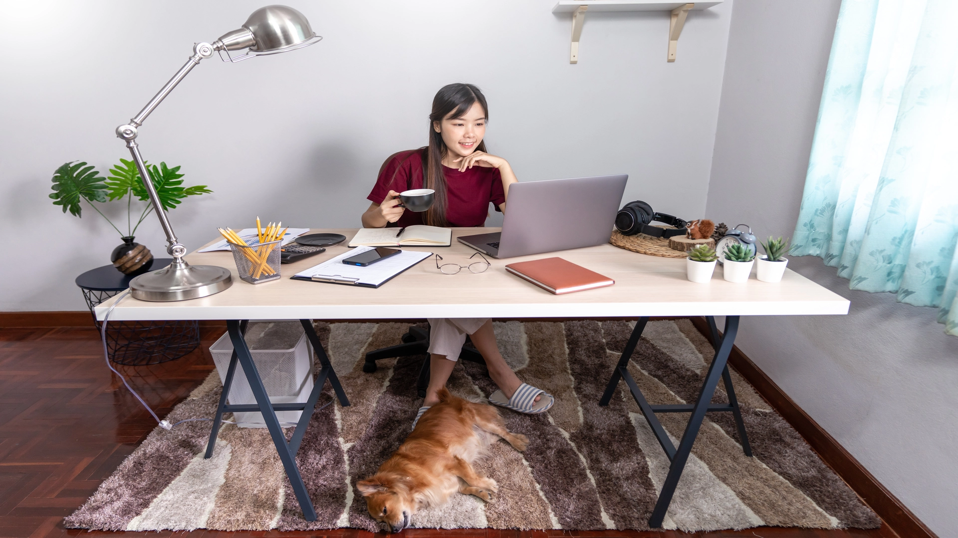 young-beautiful-asian-woman-working-home-with-her-pet